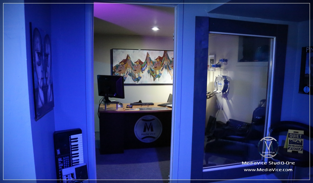 MediaVice Site Image 692