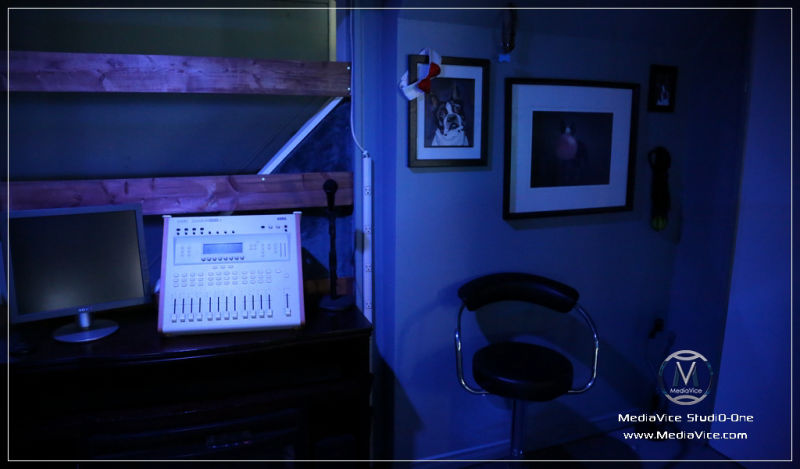 MediaVice Site Image 673